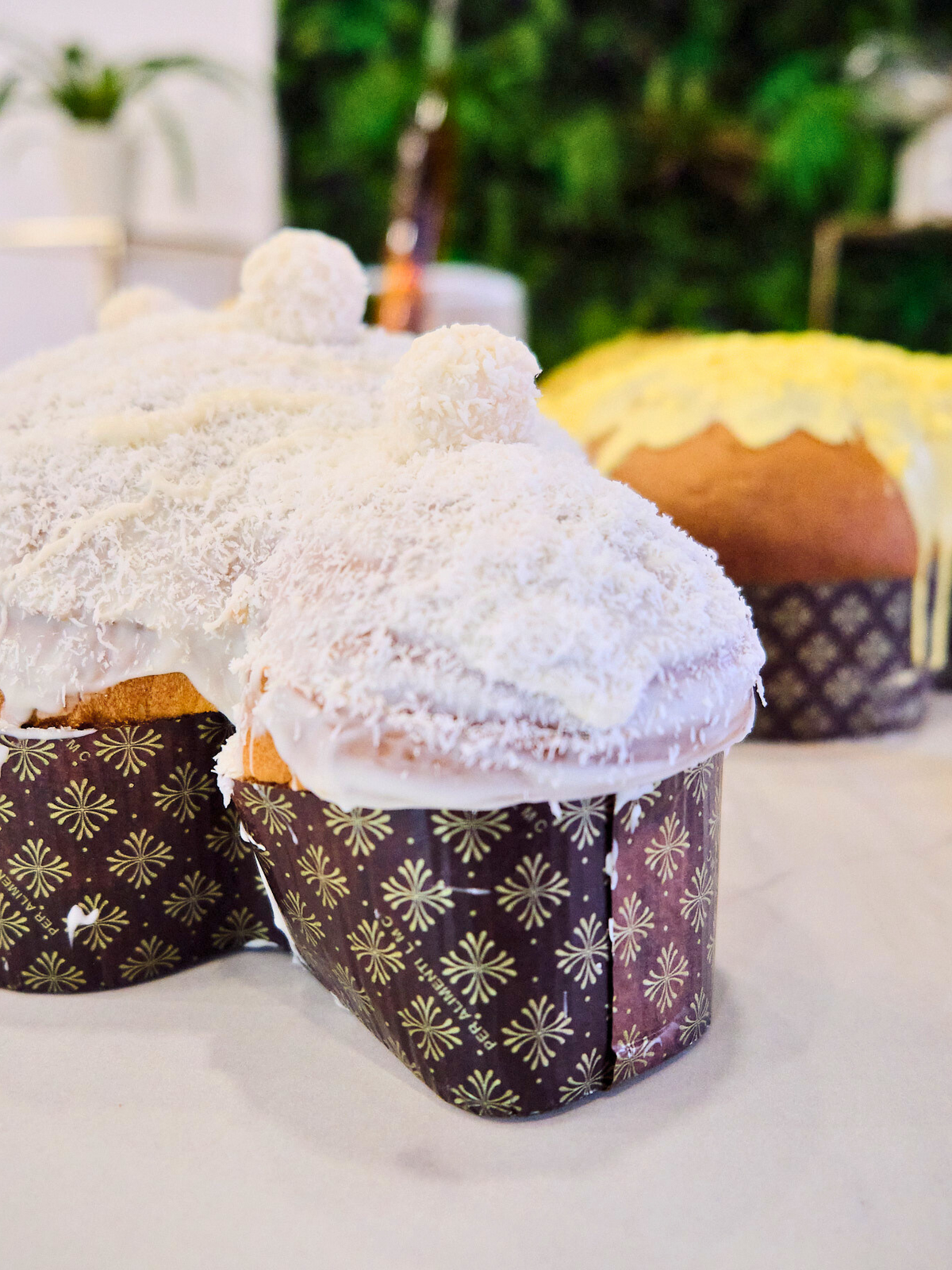 Colomba Raffaello
